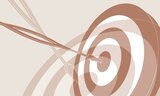 La multiplication exponentielle des niches