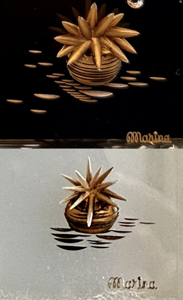Signatures «Marina» apposées sur les exemplaires en plexi des ATMOS «poisson».