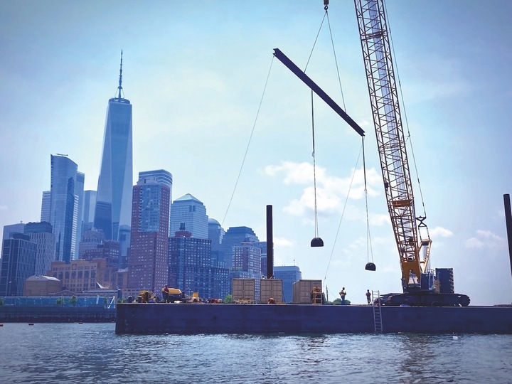 Il y a plusieurs siècles, le port de New York abritait 890 km2 de récifs d'huîtres. Une huître adulte peut filtrer jusqu'à 227 litres d'eau par jour.